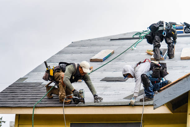 Professional Roof Installation technician working in Grove City, FL